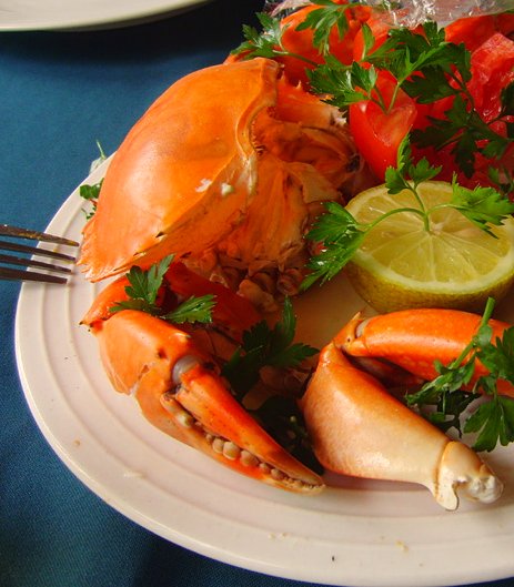 fresh-crab-plate